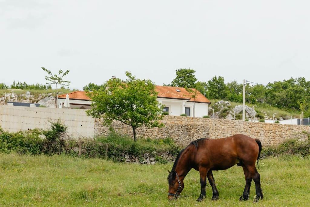 Villa Lozo, Prolozac Gornji Gornji Prolozac Экстерьер фото